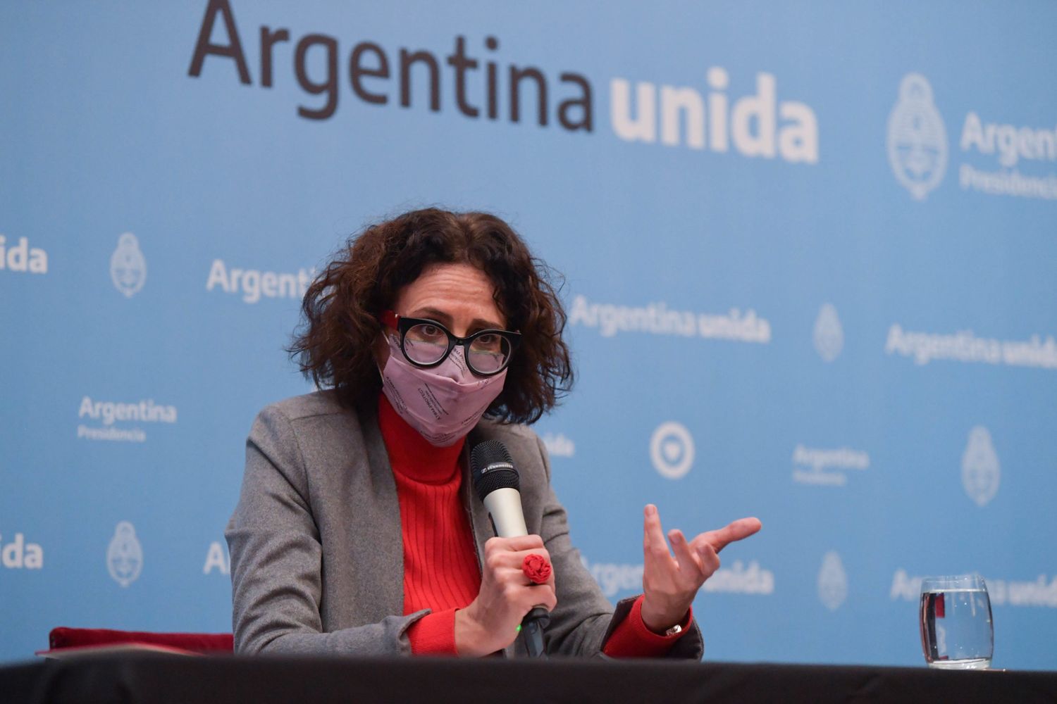 Todesca Bocco: “Cuando dicen que no hay plan económico, es porque no es el plan que ellos quieren”