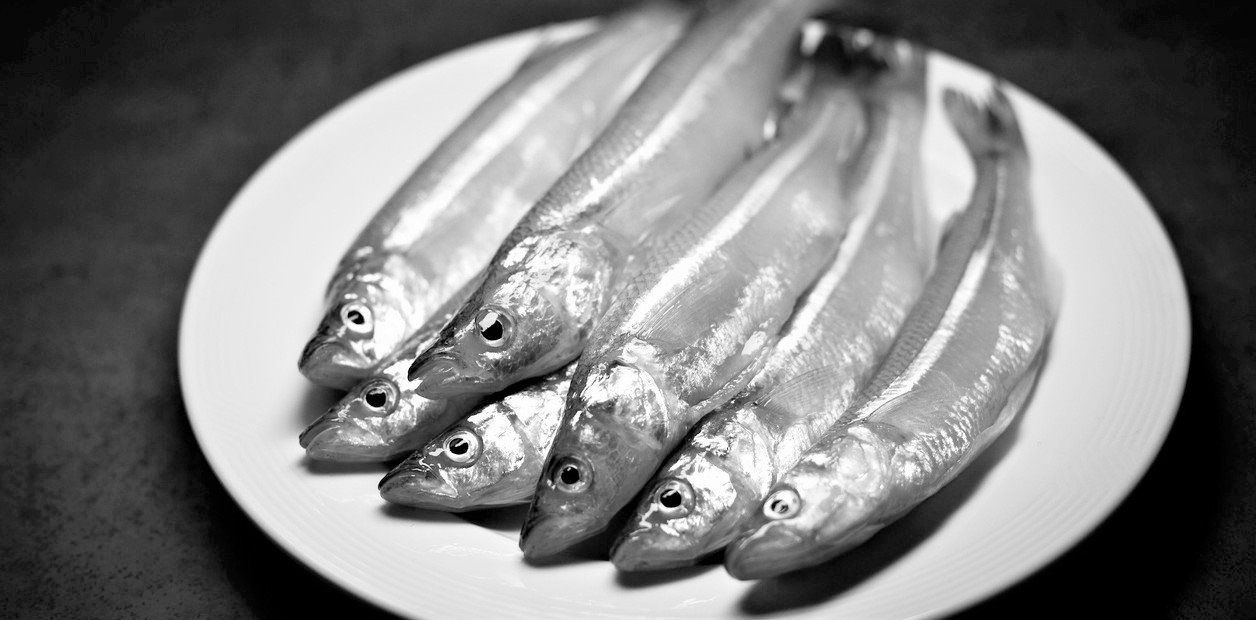 Lagunas bonaerenses, las rutas del Pejerrey y algunos antecedentes que no deberían seguir en el olvido