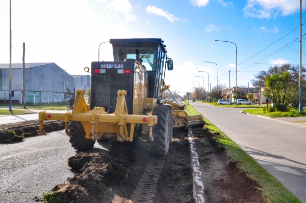 Reacondicionamiento de los canteros centrales en avenida presidente Alfonsín