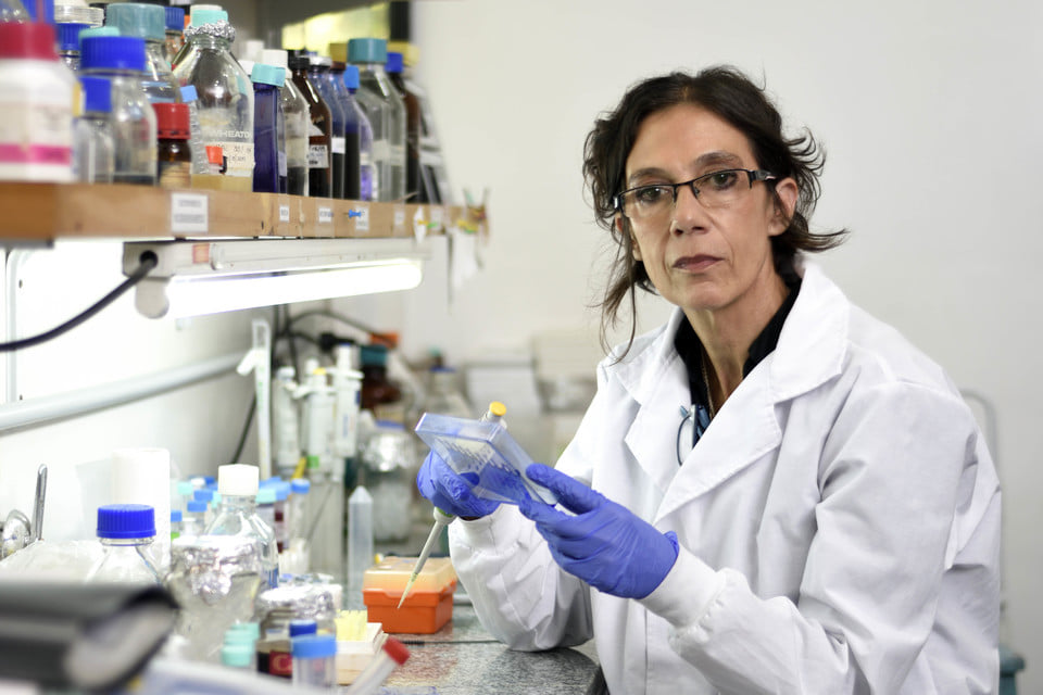 Claves para comprender por qué es efectiva la combinación de vacunas