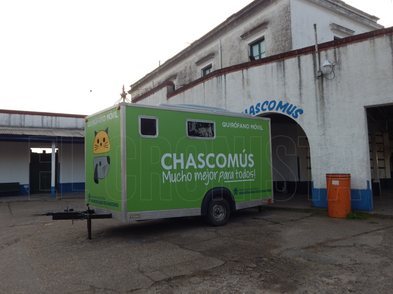 Salud pública: Un petitorio de castraciones masivas para perros y gatos en Chascomús