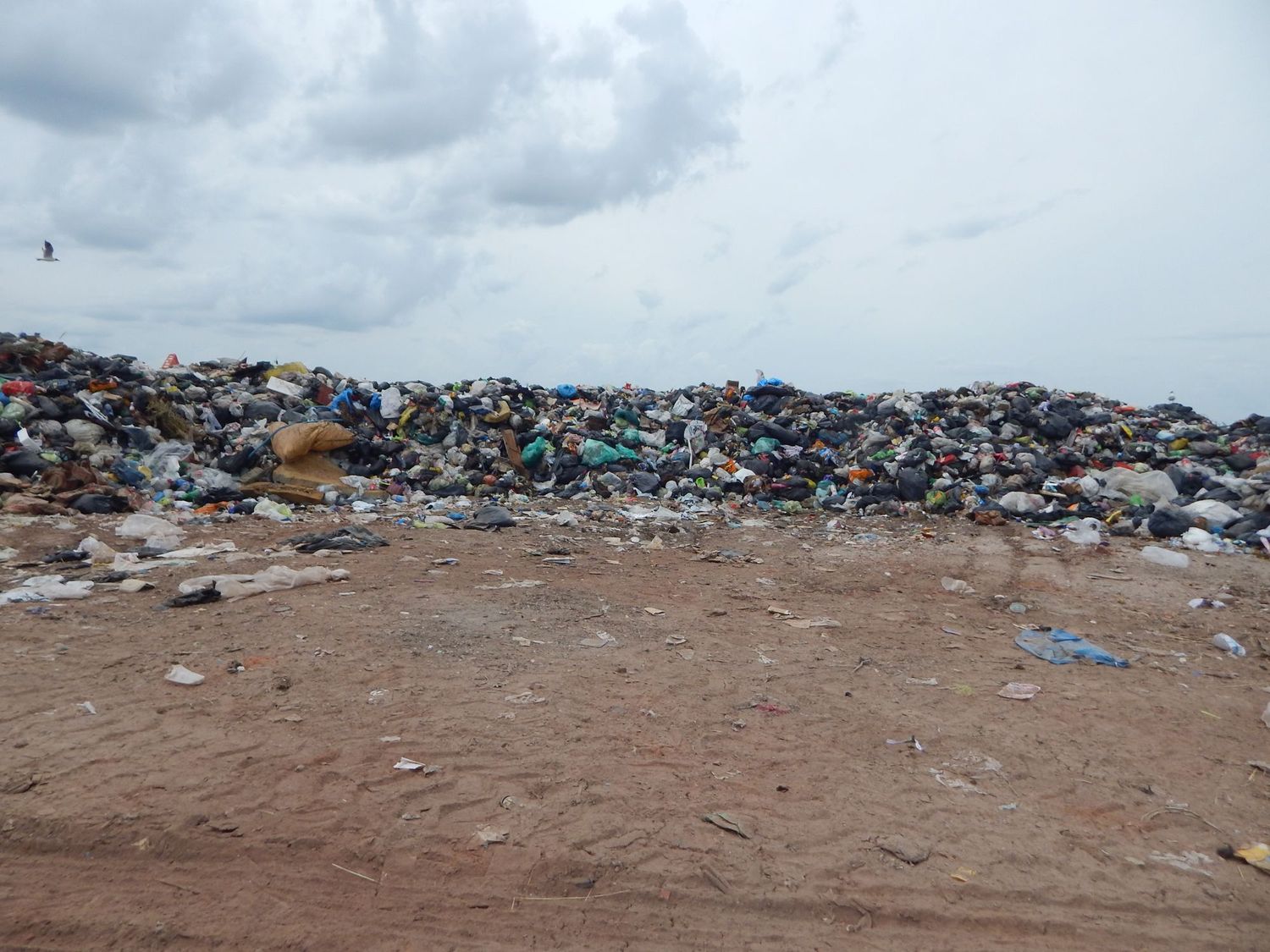 Vecinos de Ruta 20 desmienten que sea apto el predio para el Ecoparque Ambiental Chascomús