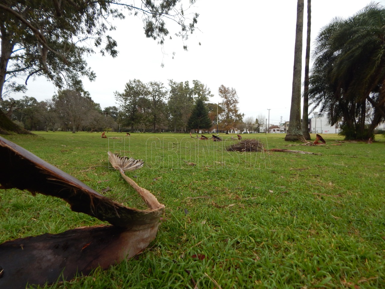 Ante intensa lluvia: Una familia de Chascomús debió ser evacuada por el estado de la vivienda
