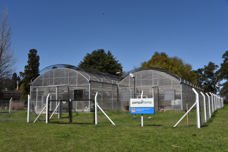 Cannabis medicinal: una pyme bonaerense desarrolla el primer cultivo legal del país