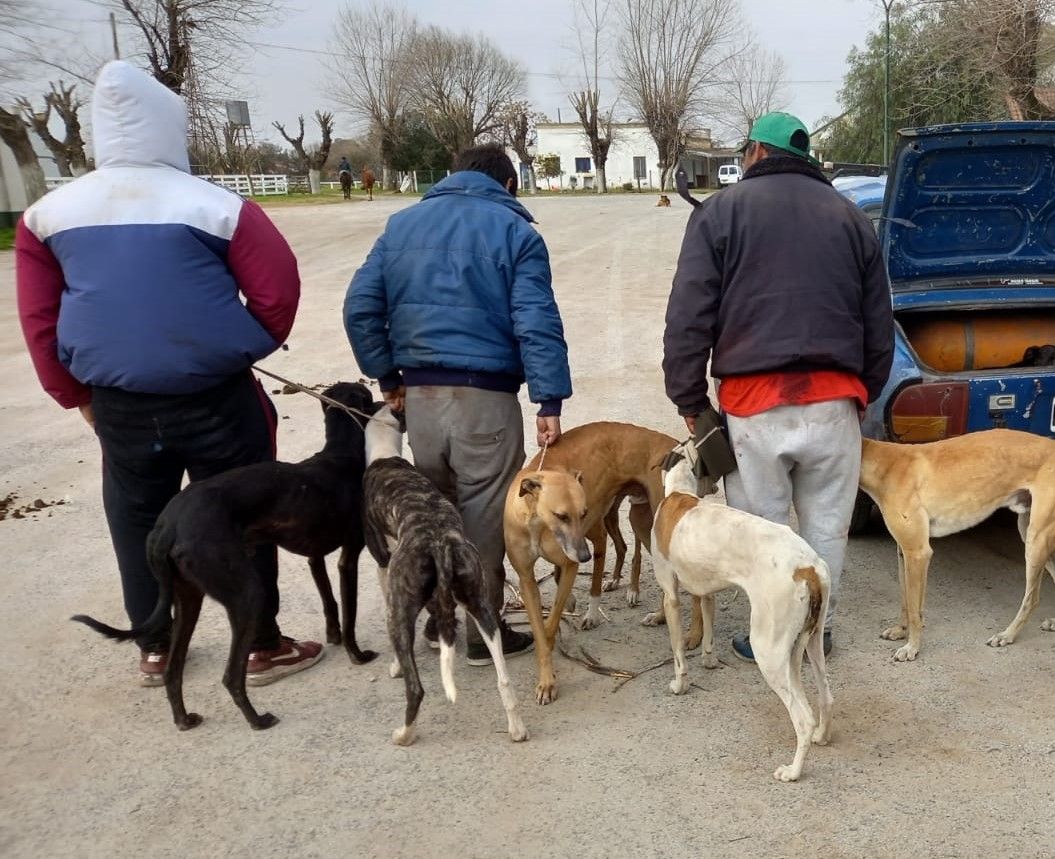 Chascomús: Se radicó denuncia penal para investigar tours de galgueros