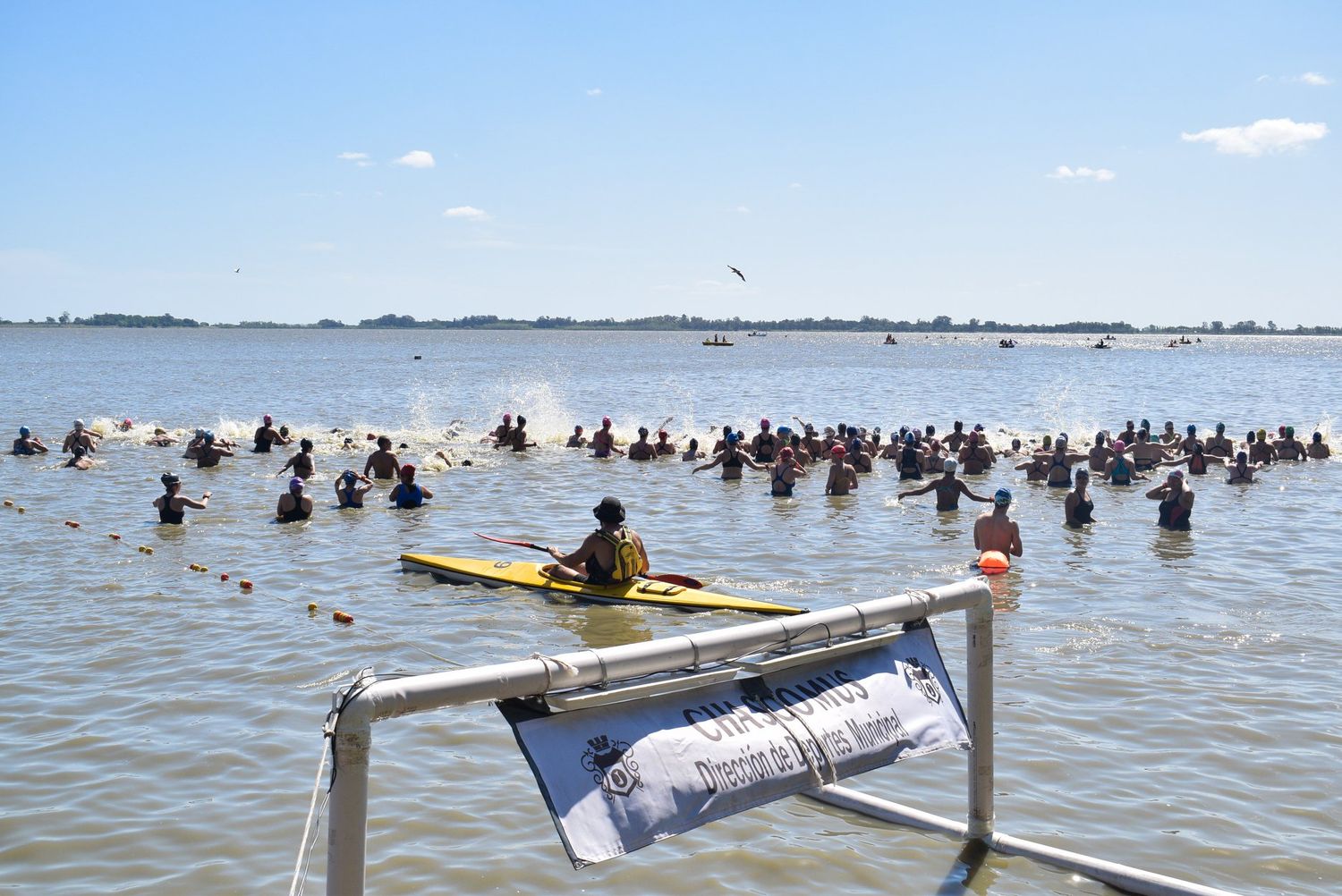 Natación: El 27 de noviembre comienza el circuito de Aguas Abiertas en Chascomús