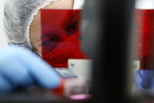 Ocho proyectos locales aprobados en una convocatoria especial de la UNLP-CONICET-UNAJ