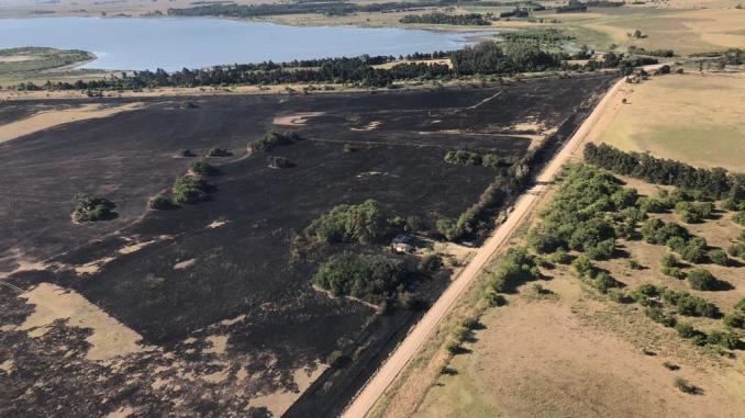 En Ruta Nº20: Incendio forestal requirió presencia de Bomberos Voluntarios de Chascomús, Ranchos y Lezama