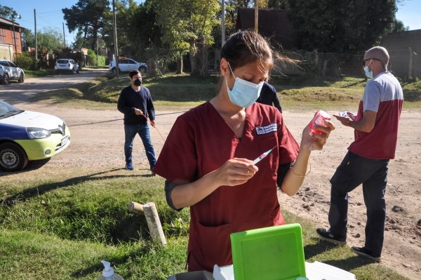 Chascomús: Fue detectado un caso de rabia en un murciélago y se inició una campaña especial de vacunación antirrábica
