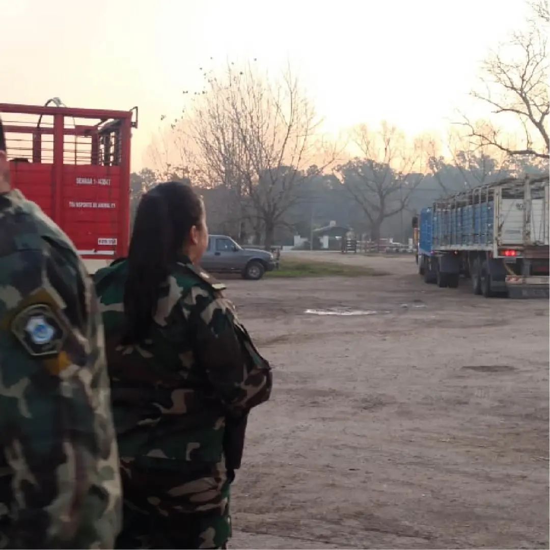 Fueron retirados los animales que permanecían en la Asociación Rural de Chascomús