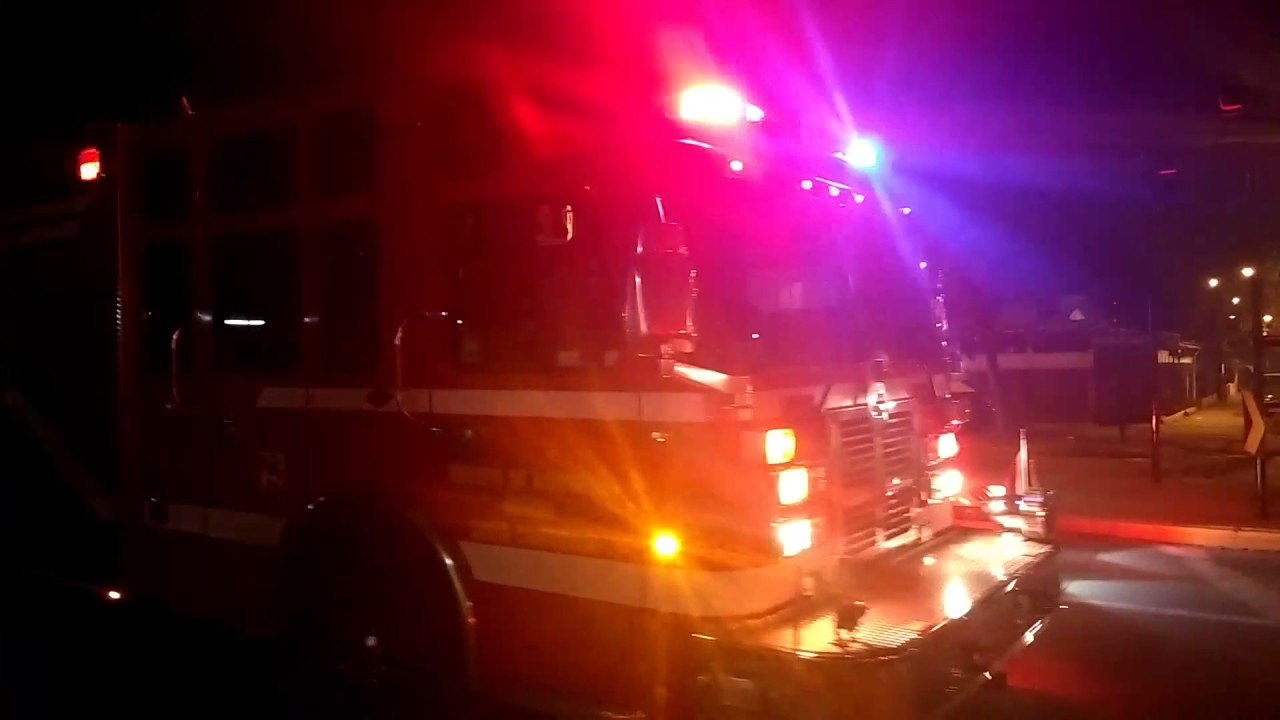 Esta madrugada: Bomberos de Chascomús rescataron al chofer de un ómnibus que colisionó con una vaca en la ruta 2