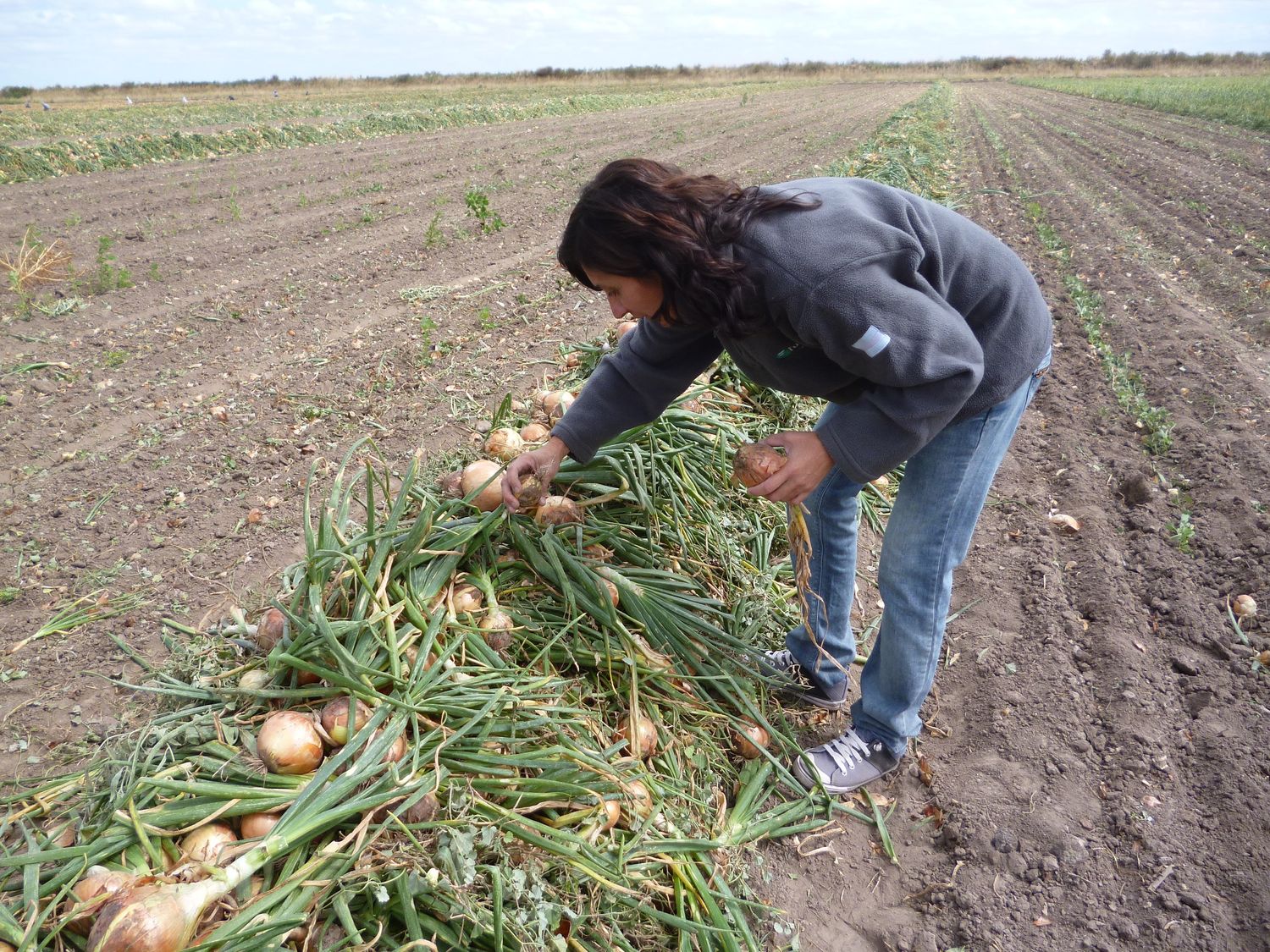 El área en sequía se incrementó en 10 millones de hectáreas a nivel país durante agosto, pero aún “no es grave”