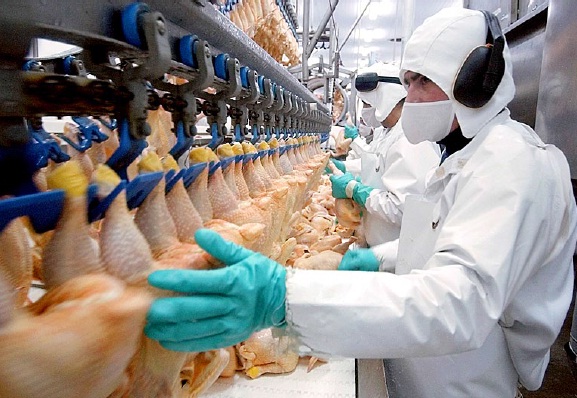 Ayacucho tendrá un frigorífico aviar municipal