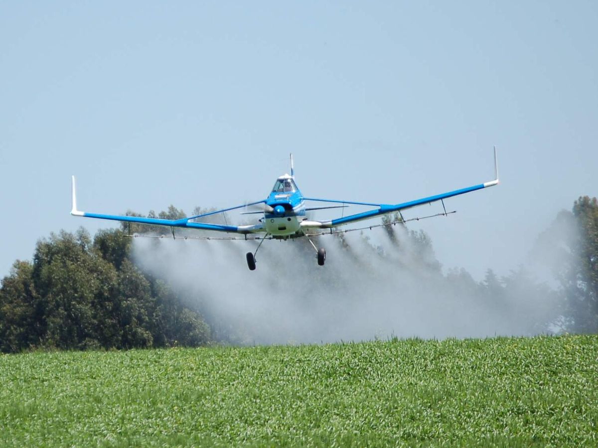 Pergamino: tres productores rurales podrían ser juzgados por contaminación ambiental
