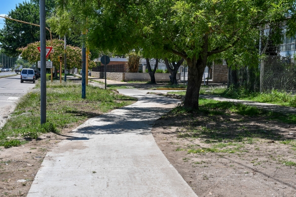 Continúan los trabajos en la bicisenda de avenida Alfonsin