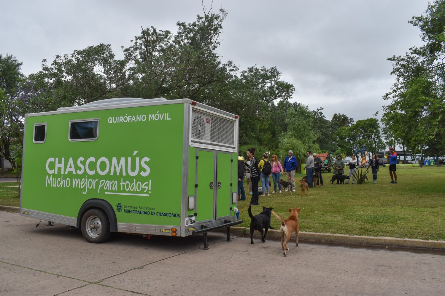Programa municipal de castración gratuita: se recorrieron ocho barrios con el quirófano móvil durante el 2022