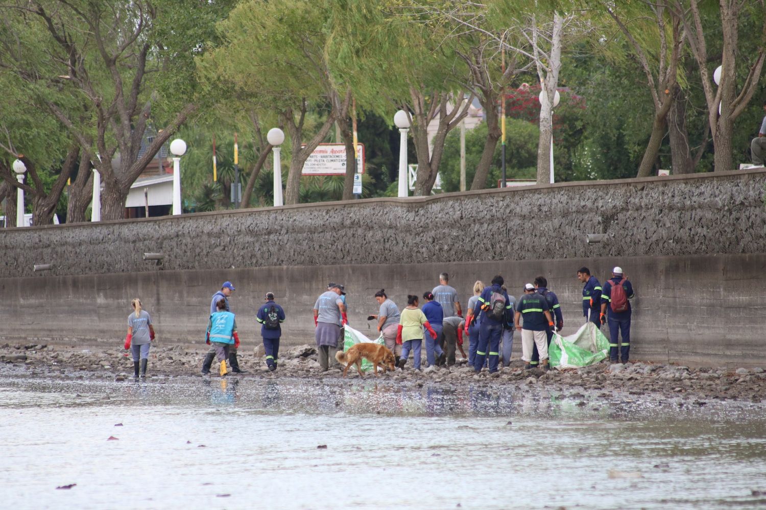 Tierra resquebrajada: la sequía genera nuevas postales en las lagunas bonaerenses