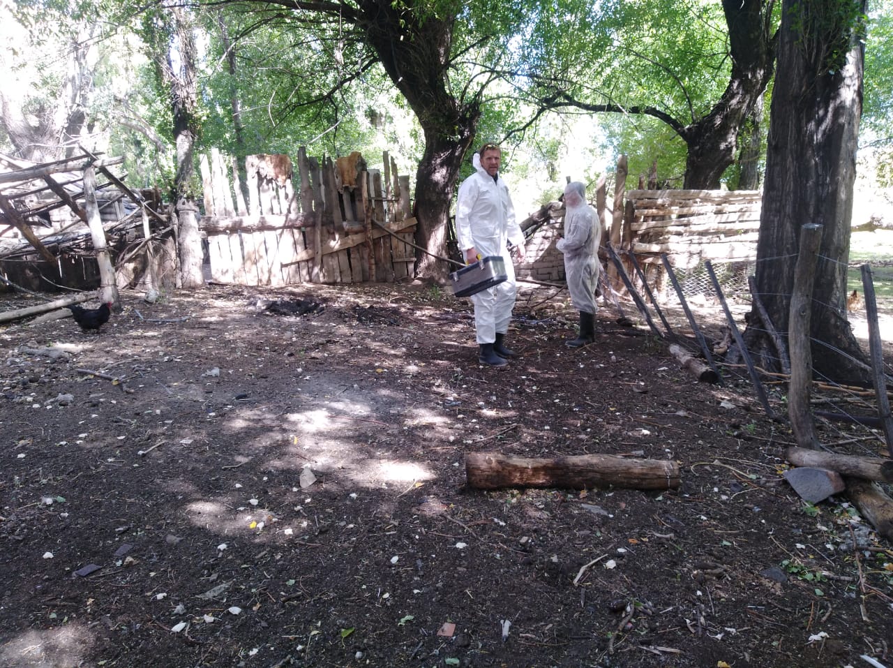 Detectan gripe aviar en Azul y ya son cuatro los municipios bonaerenses con casos