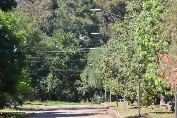 Colocan nuevas luminarias con tecnología led en el barrio Las Violetas
