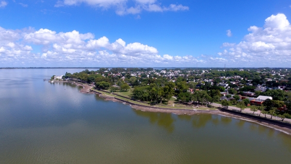 Informe municipal sobre cianobacterias en la laguna de Chascomús