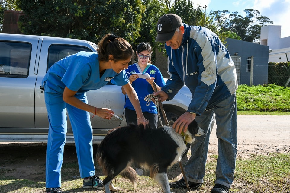 Anuncian las últimas jornadas de la campaña de vacunación antirrábica