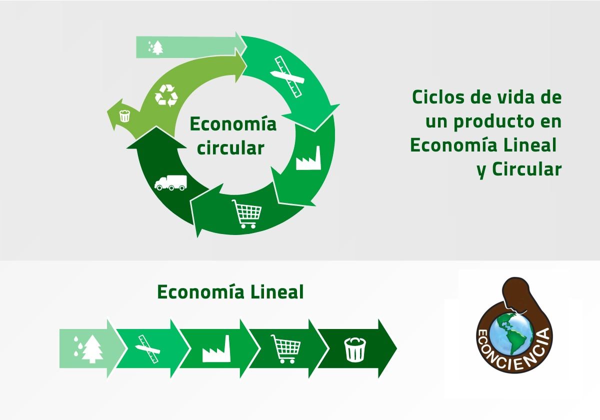 ONG Econcienca Chascomús: ¿Qué es la economía circular?