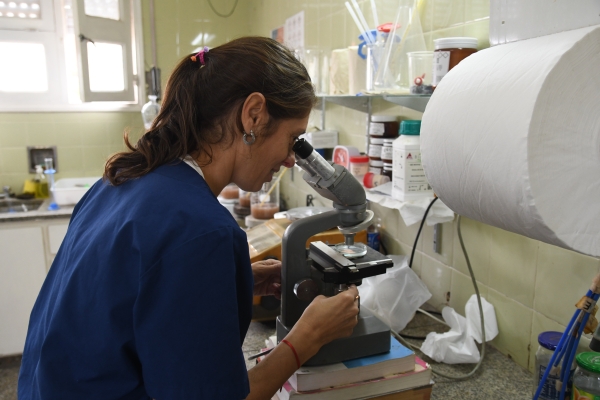 En la semana de la lucha contra la triquinosis se refuerzan recomendaciones