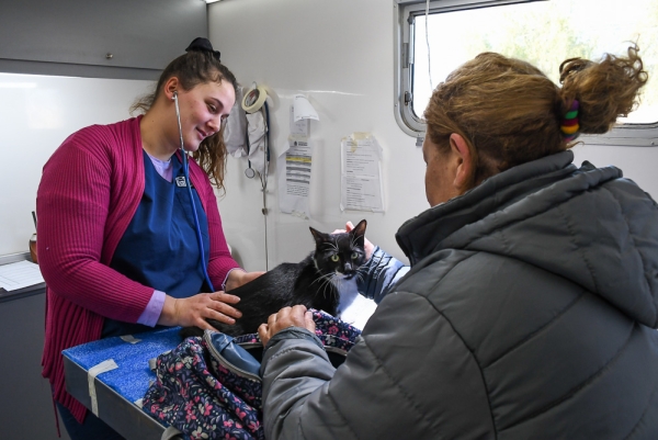 El programa municipal de castración de mascotas otorgó más de 60 turnos en el barrio 30 de Mayo