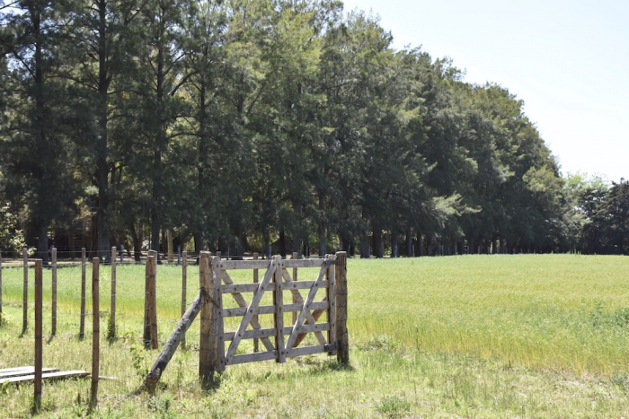 Provincia lanza asistencia económica para arrendatarios afectados por la sequía