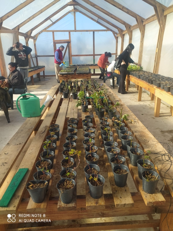 La Plantinera del Centro de Día ya tiene su primera producción en Chascomús