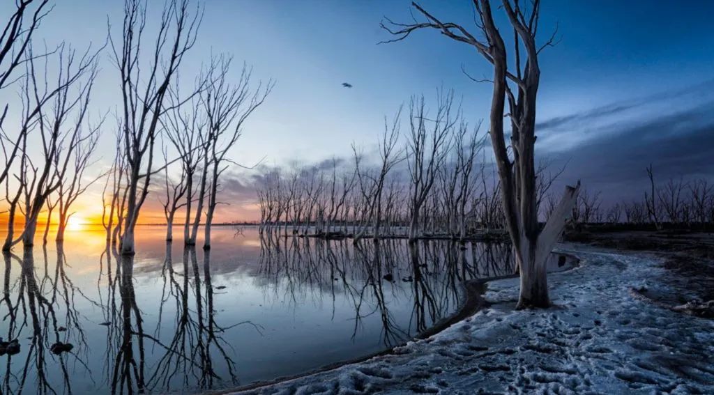 Tres lagunas únicas para conservar la esencia de la provincia de Buenos Aires