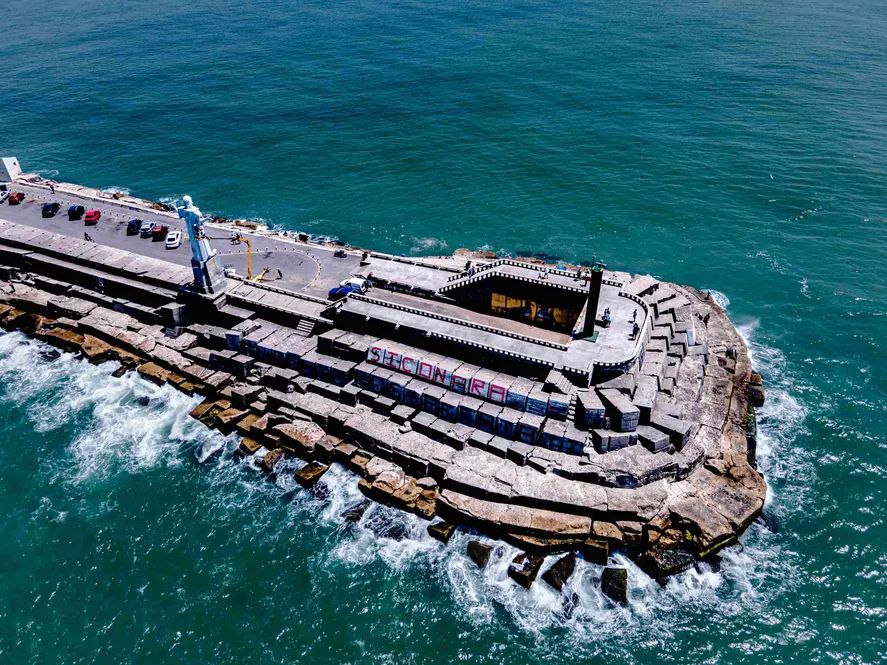 Cerraron Escollera Sur en Mar del Plata por casos de gripe aviar en lobos marinos