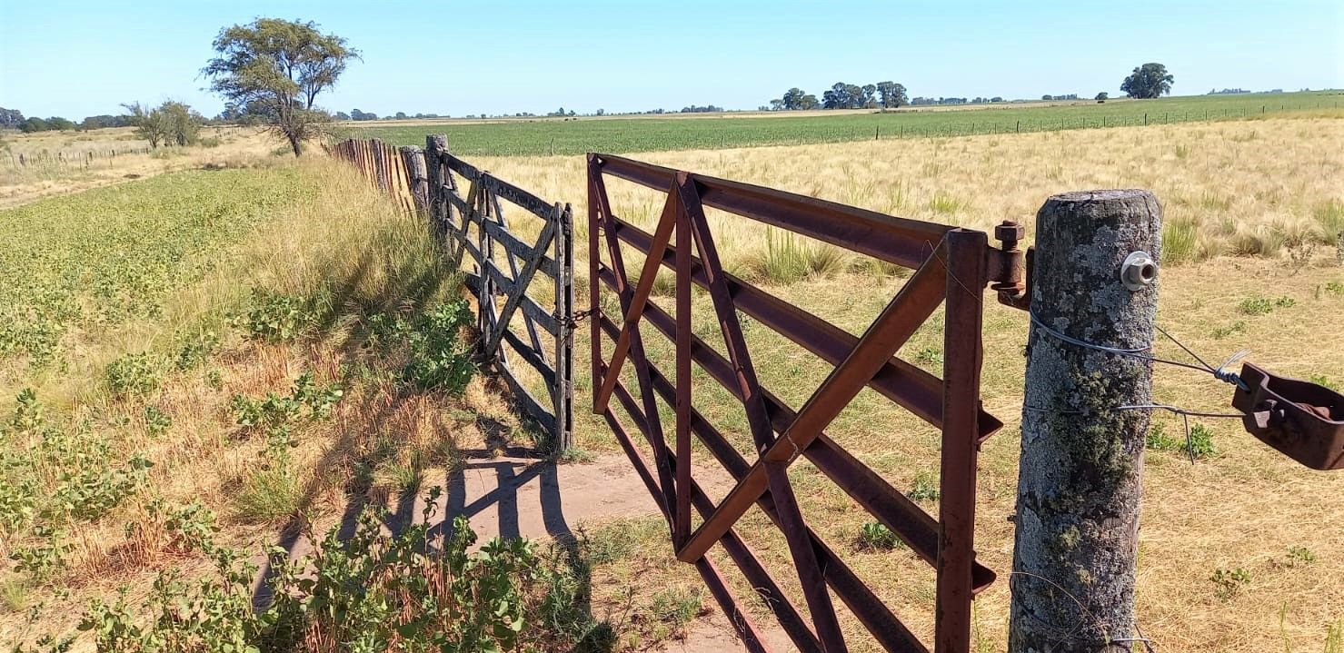 La voz del productor: Se extendió la emergencia agropecuaria y alerta por impuestos
