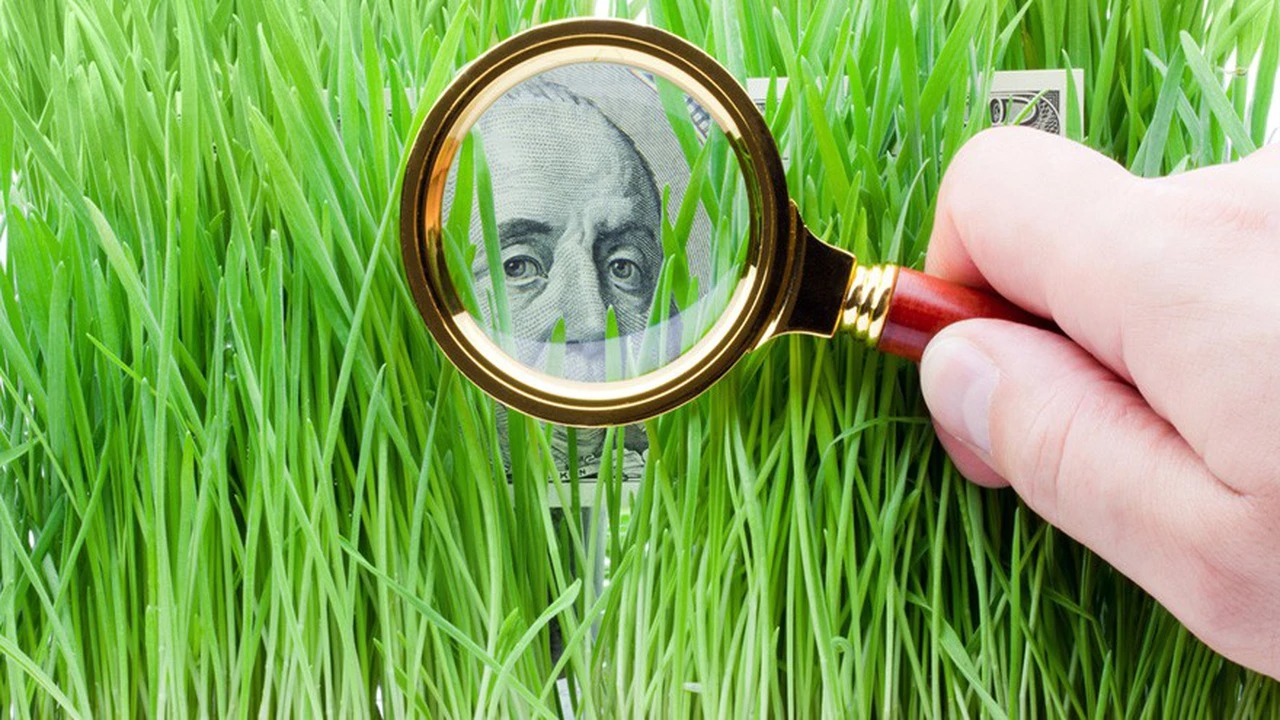 Invertir en ganadería desde casa: con cuánta plata entrar y qué ganancia ofrece