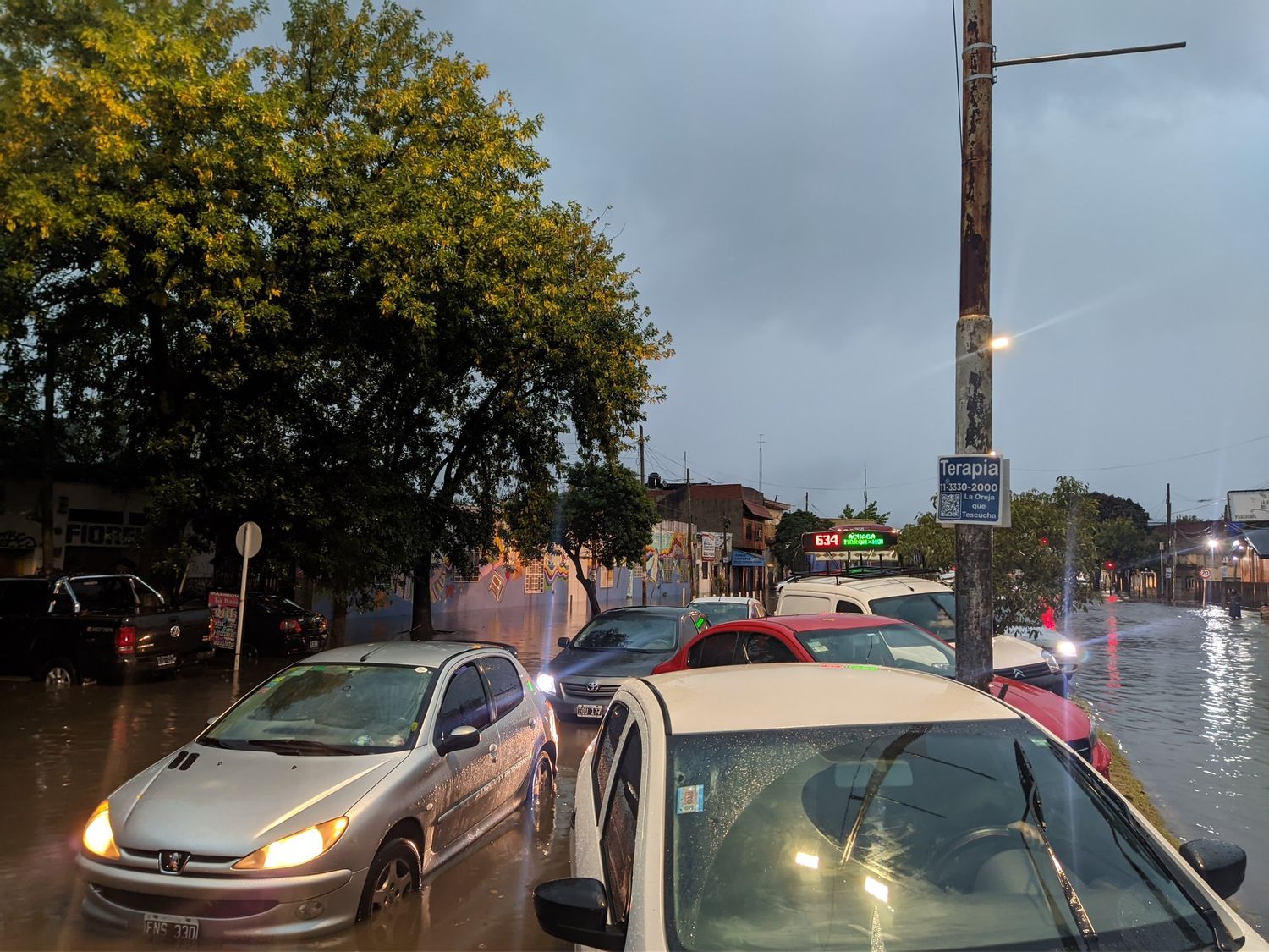 Alerta en toda la provincia por fuertes tormentas: calles intransitables, postes y árboles caídos