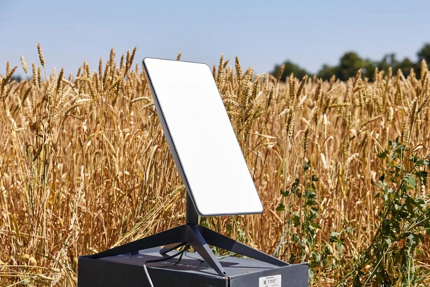 Cuánto cuesta y cómo es Starlink, la internet de Musk ideal para el campo bonaerense