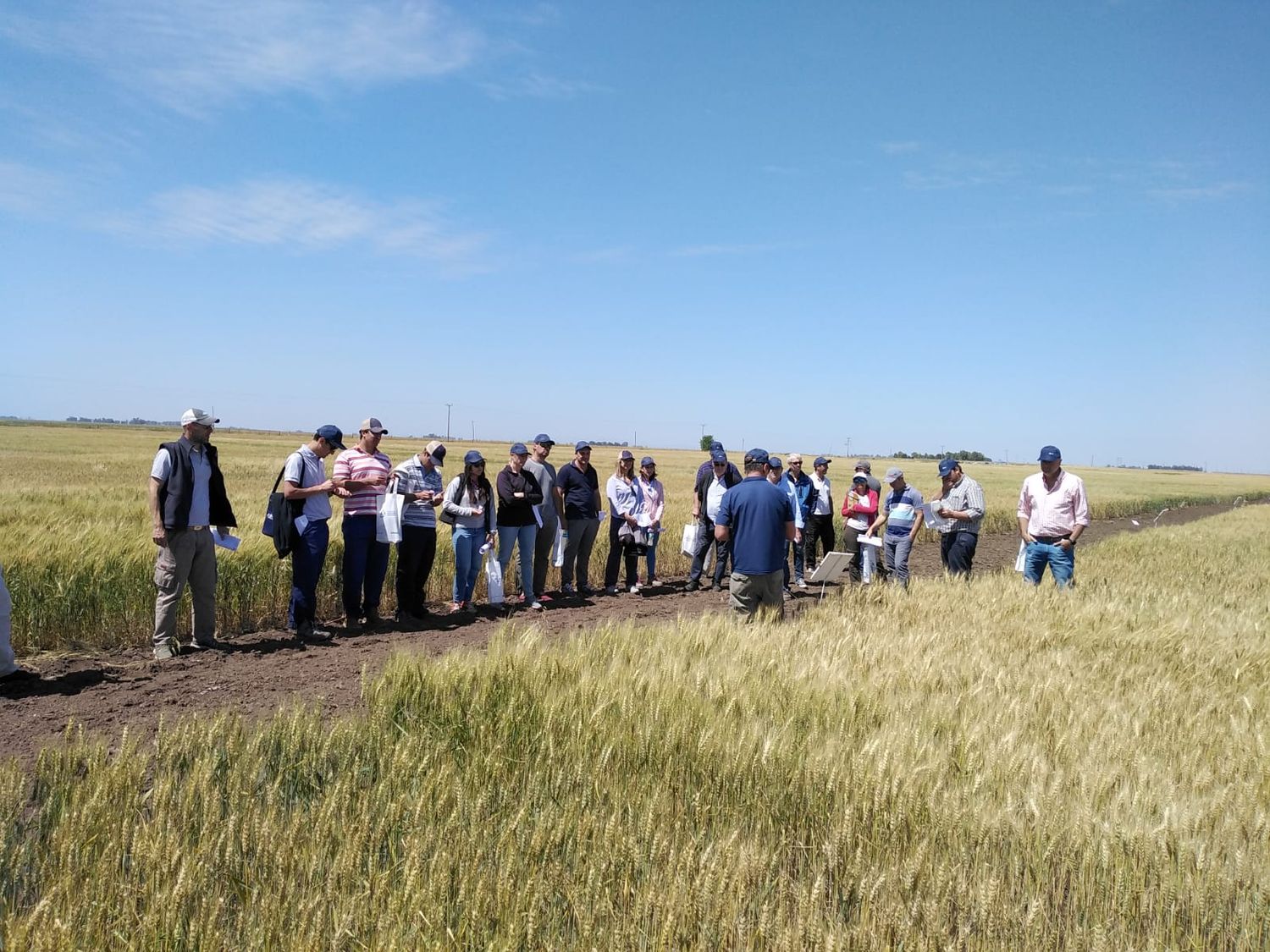 Abren una nueva convocatoria al programa Desarrollo Rural Bonaerense