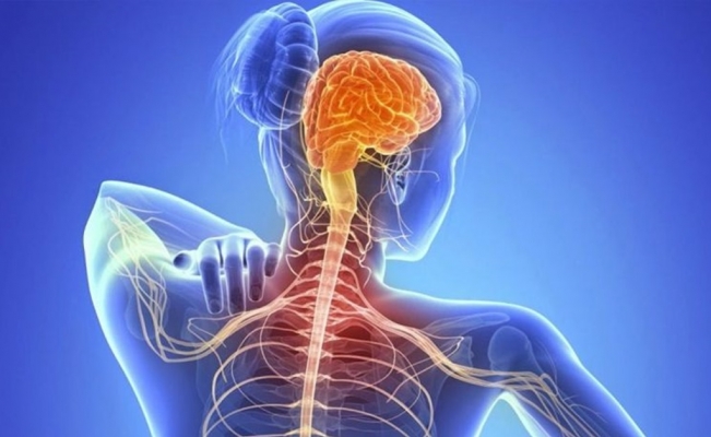 Avance histórico: por primera vez científicos desarrollan un tratamiento clave contra la ELA