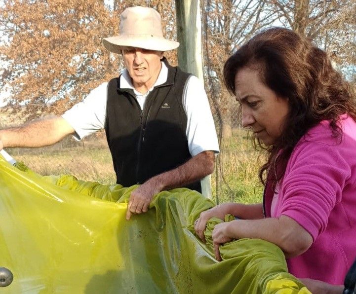 Impulso en la cría de pejerrey: el éxito de la Estación Hidrobiológica de Chascomús en Junín