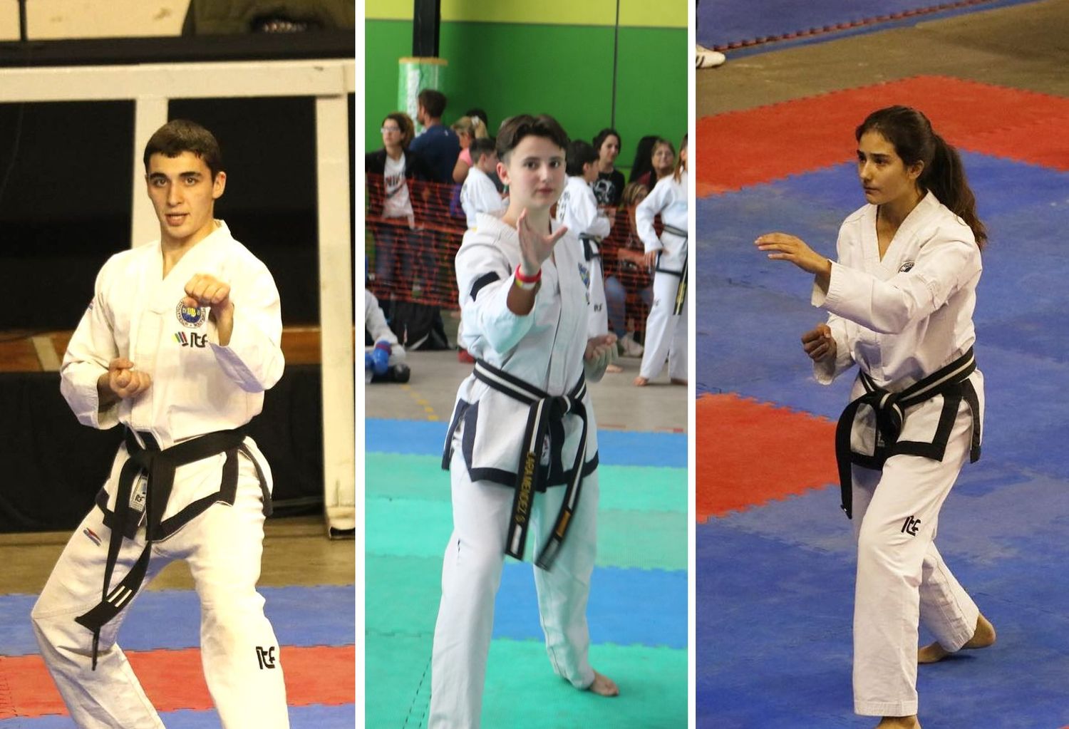 Taekwondo: Chascomús se prepara para brillar en la World Cup Mar del Plata 2024