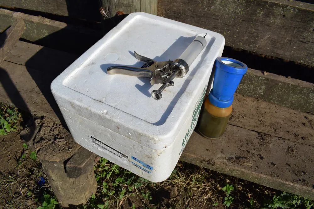 Aftosa: se desató la “guerra” entre laboratorios dejando al productor como botín