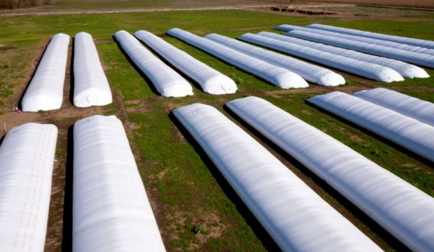 “Funcionarios que no la ven”: CARBAP salió a responderle a Francos por la polémica de las silobolsas