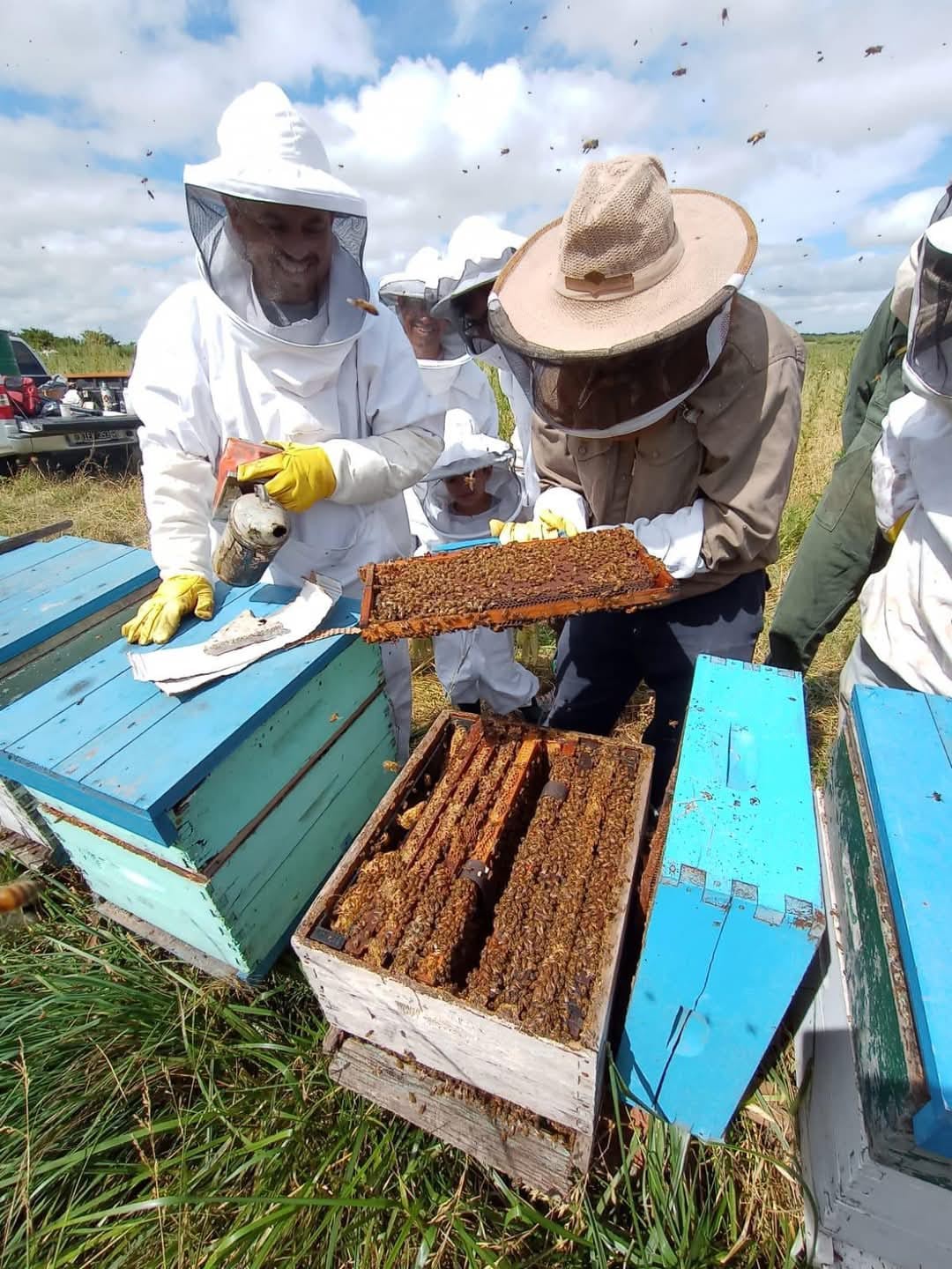 Jornada de iniciación apícola en la unidad demostrativa del INTA Chascomús