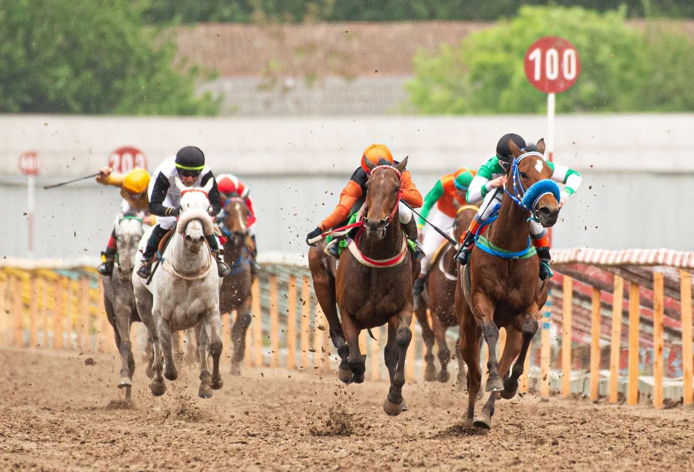 Cumpleaños de La Plata: se corre hoy el clásico Gran Premio Dardo Rocha