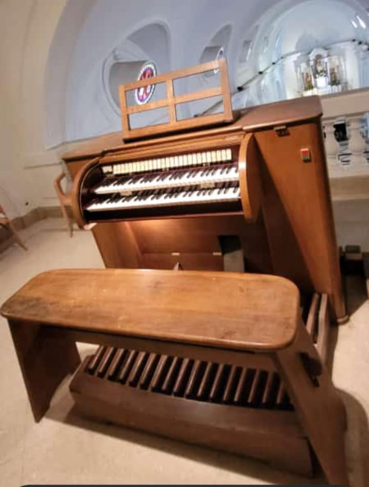 Concierto en la Catedral: Invitación de la Diócesis en el marco de la segunda etapa de restauración del órgano Walcker