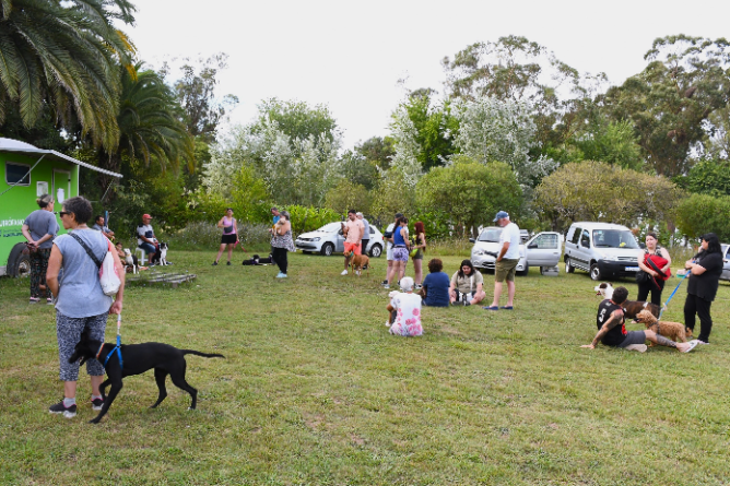 Más de 60 turnos fueron asignados para castraciones en el Fuerte San Juan Bautista