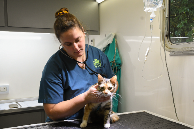 Castraciones: se reprograman las revisaciones para el 5 de marzo