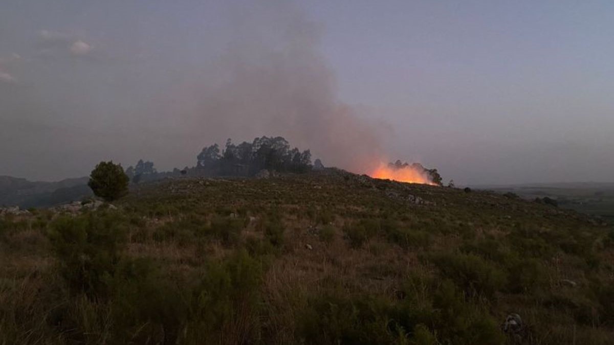 Tandil: preocupa el aumento de incendios, con más de 35 intervenciones de bomberos en lo que va de febrero