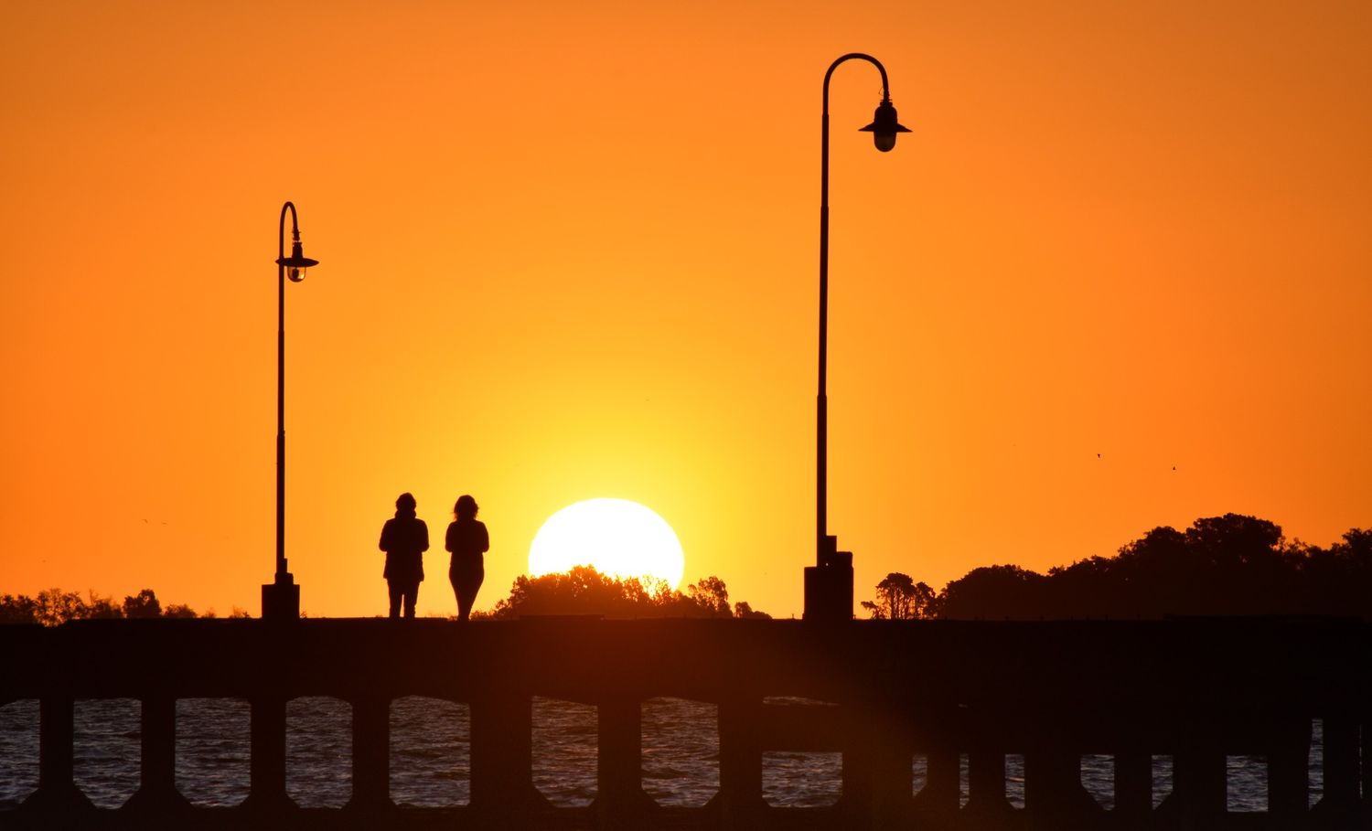 Agenda: Se viene un finde largo cargado de propuestas en Chascomús