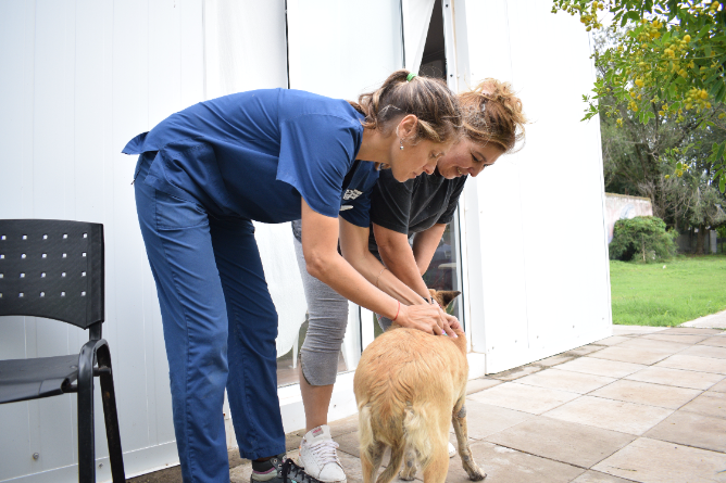 Comenzó la Campaña Antirrábica en los diferentes barrios de Chascomús